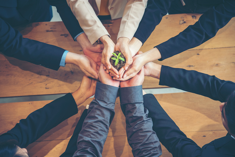 3 Critical Reasons Why You Should Consider Including Sustainability in Your Marketing Strategy